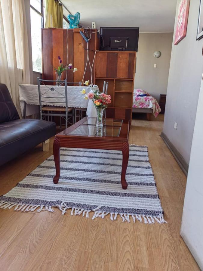 Departamento Plaza Parroquia Quinta Vergara ビニャ・デル・マール エクステリア 写真
